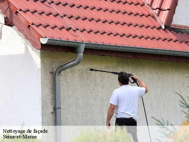 Nettoyage de façade Seine-et-Marne 