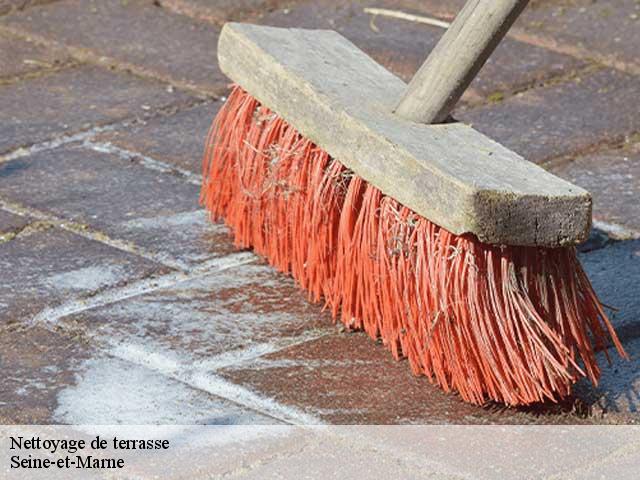 Nettoyage de terrasse Seine-et-Marne 