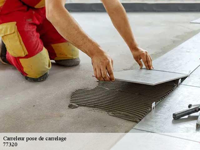 Carreleur pose de carrelage  77320