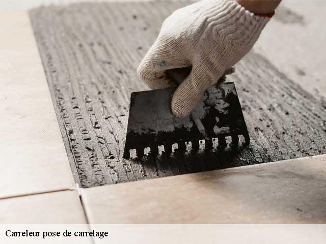 Carreleur pose de carrelage