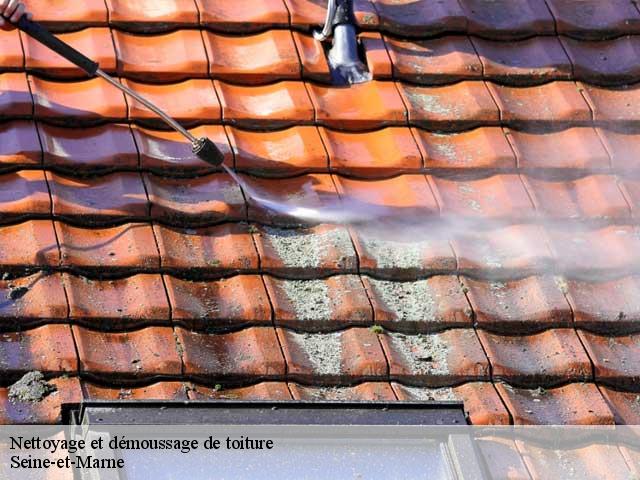 Nettoyage et démoussage de toiture Seine-et-Marne 